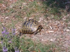 Urlaub 2010 191.JPG
