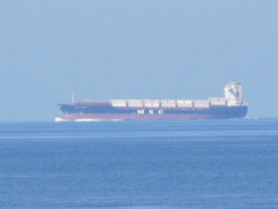 IMG_4598.JPG